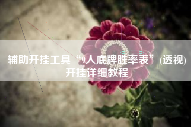 辅助开挂工具“9人底牌胜率表”(透视)开挂详细教程