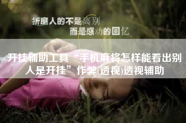 开挂辅助工具“手机麻将怎样能看出别人是开挂”作弊(透视)透视辅助