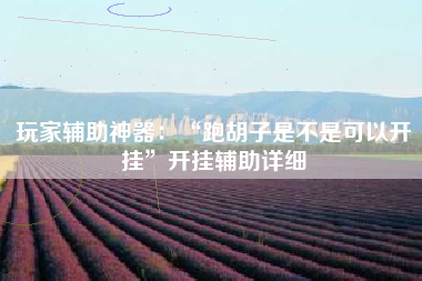 玩家辅助神器：“跑胡子是不是可以开挂”开挂辅助详细