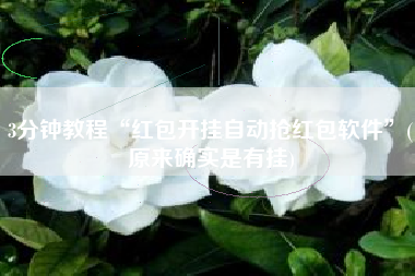 3分钟教程“红包开挂自动抢红包软件”(原来确实是有挂)