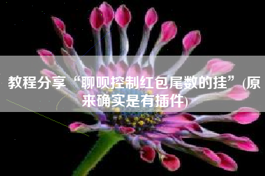 教程分享“聊呗控制红包尾数的挂”(原来确实是有插件)