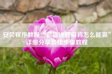 安装程序教程“微信决胜麻将怎么能赢”详细分享装挂步骤教程