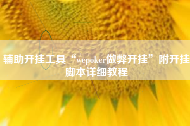 辅助开挂工具“wepoker做弊开挂”附开挂脚本详细教程