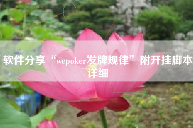 软件分享“wepoker发牌规律”附开挂脚本详细