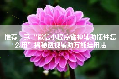 推荐一款“微信小程序雀神辅助插件怎么用”揭秘透视辅助万能挂用法