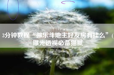 3分钟教程“微乐斗地主好友房有挂么”(曝光透视必备猫腻