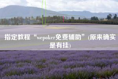 指定教程“wepoker免费辅助”(原来确实是有挂)