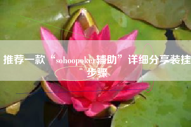 推荐一款“sohoopoker辅助”详细分享装挂步骤