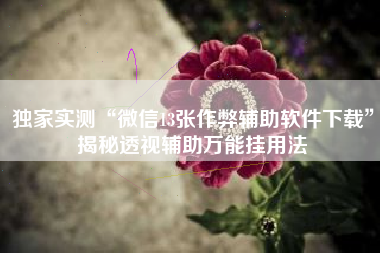 独家实测“微信13张作弊辅助软件下载”揭秘透视辅助万能挂用法