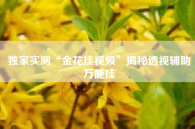 独家实测“金花挂视频”揭秘透视辅助万能挂