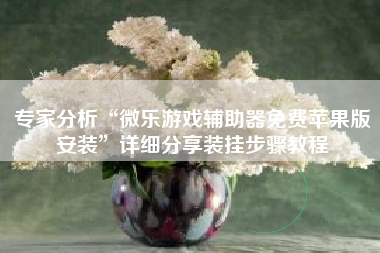 专家分析“微乐游戏辅助器免费苹果版安装”详细分享装挂步骤教程