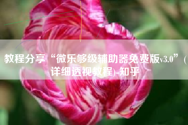 教程分享“微乐够级辅助器免费版v3.0”(详细透视教程)-知乎