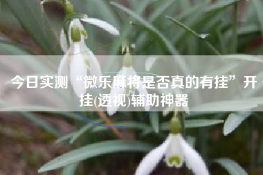 今日实测“微乐麻将是否真的有挂”开挂(透视)辅助神器