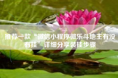 推荐一款“微信小程序微乐斗地主有没有挂”详细分享装挂步骤