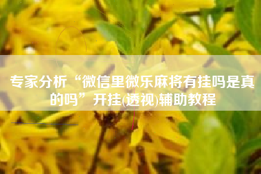 专家分析“微信里微乐麻将有挂吗是真的吗”开挂(透视)辅助教程
