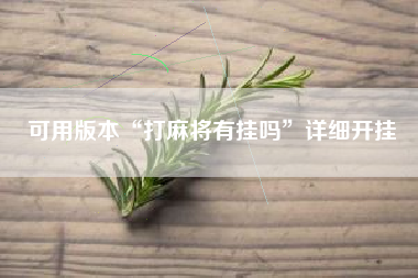 可用版本“打麻将有挂吗”详细开挂