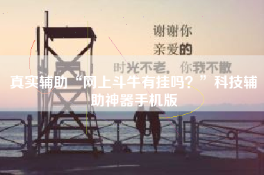 真实辅助“网上斗牛有挂吗？”科技辅助神器手机版