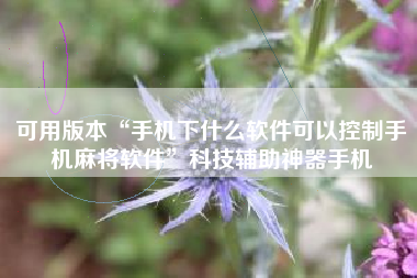 可用版本“手机下什么软件可以控制手机麻将软件”科技辅助神器手机
