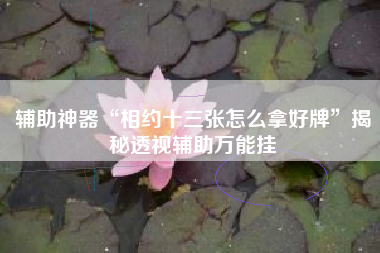 辅助神器“相约十三张怎么拿好牌”揭秘透视辅助万能挂