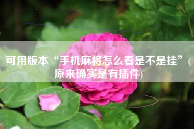 可用版本“手机麻将怎么看是不是挂”(原来确实是有插件)