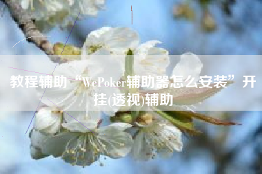 教程辅助“WePoker辅助器怎么安装”开挂(透视)辅助