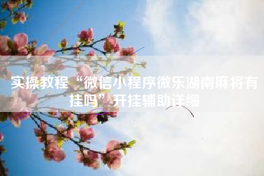 实操教程“微信小程序微乐湖南麻将有挂吗”开挂辅助详细