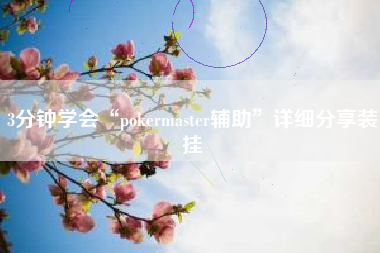 3分钟学会“pokermaster辅助”详细分享装挂