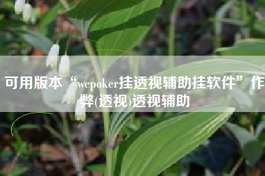 可用版本“wepoker挂透视辅助挂软件”作弊(透视)透视辅助