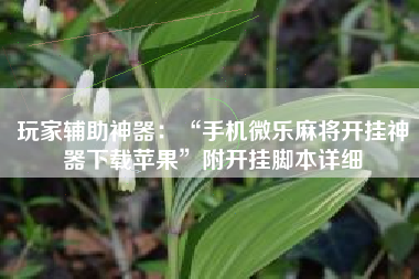 玩家辅助神器：“手机微乐麻将开挂神器下载苹果”附开挂脚本详细