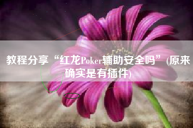 教程分享“红龙Poker辅助安全吗”(原来确实是有插件)