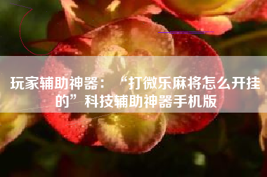 玩家辅助神器：“打微乐麻将怎么开挂的”科技辅助神器手机版