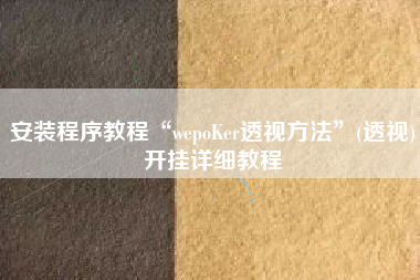 安装程序教程“wepoKer透视方法”(透视)开挂详细教程
