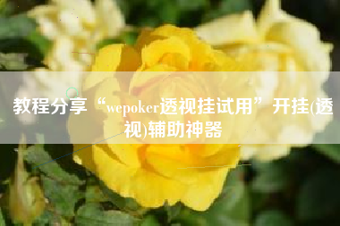 教程分享“wepoker透视挂试用”开挂(透视)辅助神器