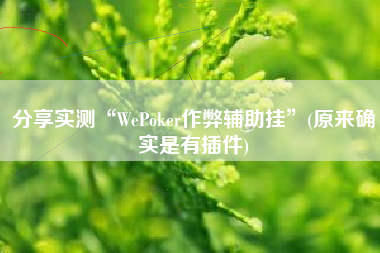 分享实测“WePoker作弊辅助挂”(原来确实是有插件)