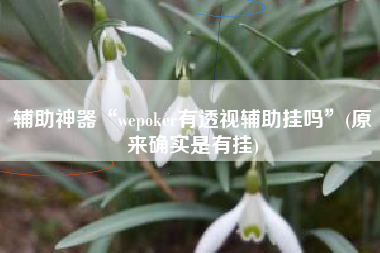 辅助神器“wepoker有透视辅助挂吗”(原来确实是有挂)