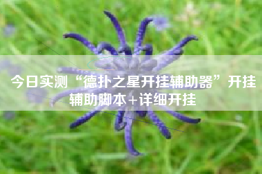 今日实测“德扑之星开挂辅助器”开挂辅助脚本+详细开挂