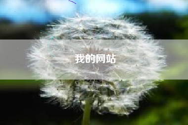 我的网站