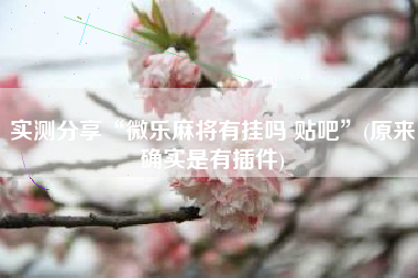 实测分享“微乐麻将有挂吗 贴吧”(原来确实是有插件)