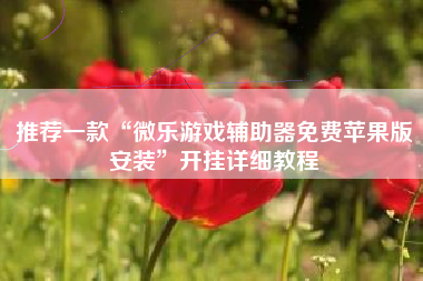 推荐一款“微乐游戏辅助器免费苹果版安装”开挂详细教程