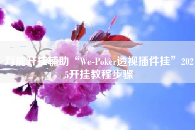 万能开挂辅助“We-Poker透视插件挂”2025开挂教程步骤