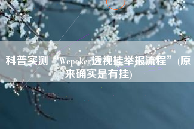 科普实测“Wepoker透视挂举报流程”(原来确实是有挂)