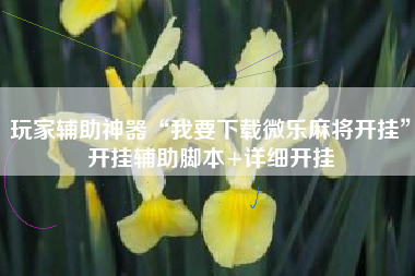 玩家辅助神器“我要下载微乐麻将开挂”开挂辅助脚本+详细开挂