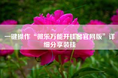 一键操作“微乐万能开挂器官网版”详细分享装挂