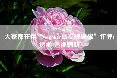 大家都在用“wepokerH5发牌规律”作弊(透视)透视辅助