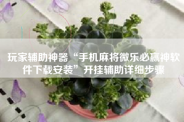 玩家辅助神器“手机麻将微乐必赢神软件下载安装”开挂辅助详细步骤