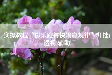 实操教程“微乐跑得快输赢规律”开挂(透视)辅助