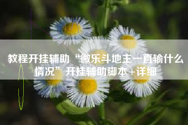 教程开挂辅助“微乐斗地主一直输什么情况”开挂辅助脚本+详细