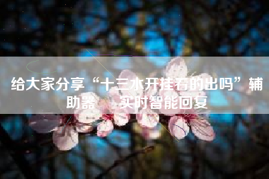 给大家分享“十三水开挂看的出吗”辅助器 – 实时智能回复