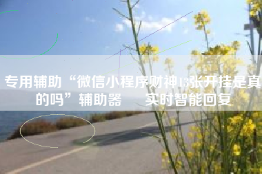 专用辅助“微信小程序财神13张开挂是真的吗”辅助器 – 实时智能回复
