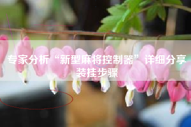 专家分析“新型麻将控制器”详细分享装挂步骤